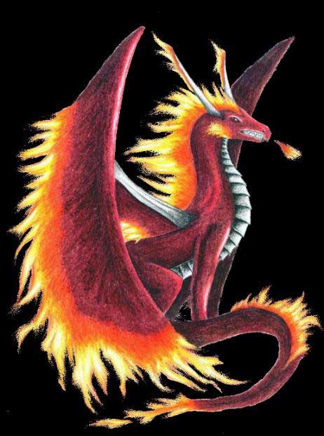Sylvia Hinz *Dragon*