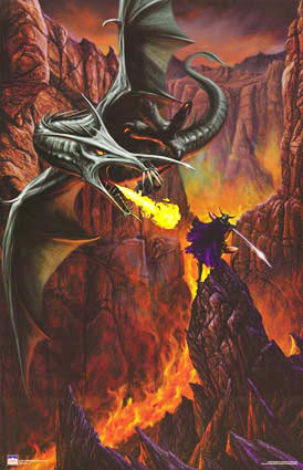 d204