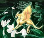 Liiga Smilshkalne *Orchid Drake*