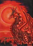 Sylvia Hinz *Rubindragon *