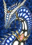 Sylvia Hinz *Reddragon*